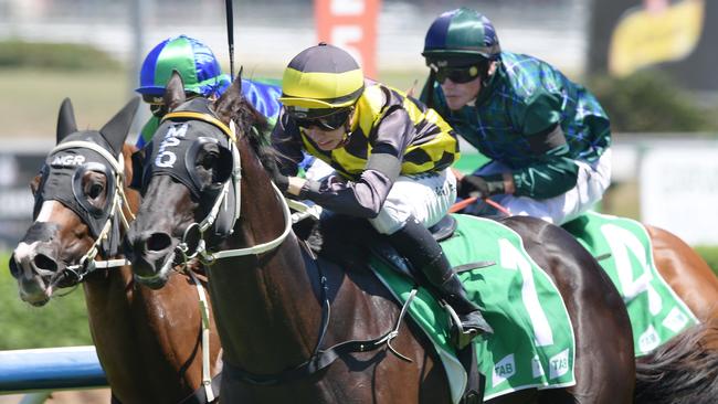 Coffs Harbour Cup races; Matt Jones best bets preview; Hawkesbury races ...