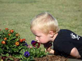 Taylen Swanson was four-years-old when he died from head injuries sustained in a car crash caused by Michelle Newton's inattention which resulted her vehicle veering onto the incorrect side of the road and crashing head-on into Taylen's mother's car on September 18, 2016, on the Burnett Highway at Bouldercombe. 