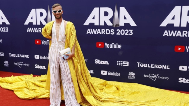 Celeb looks on the 2023 ARIAs red carpet