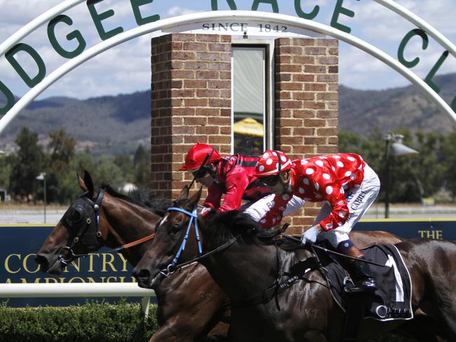 Hugh Bowman takes a winner across the line at Mudgee Racecourse.