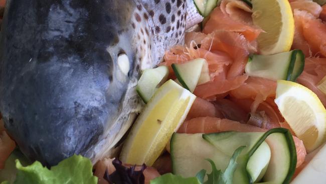 Lunch each day during the Test match is a sumptuous affair for the hard working media. Baked salmon is a favourite on the spread showcasing Tasmanian produce. Picture: JAMES BRESNEHAN