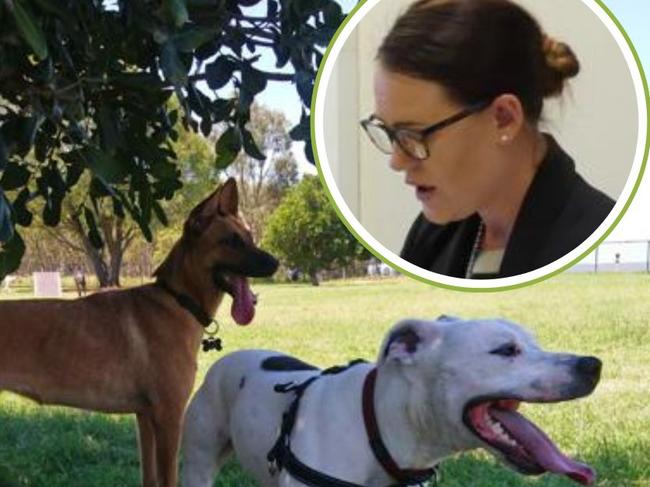 Councillor Kirstie Schumacher argued why the council should try to recoup late dog registration fees.