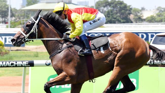 Omei Sword is worth another chance in the Sheraco Stakes.