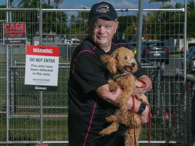 David Dixon and his dog Ziggy at Bayview Park in Hollywell, where fire ants have been detected. Picture: Glenn Campbell