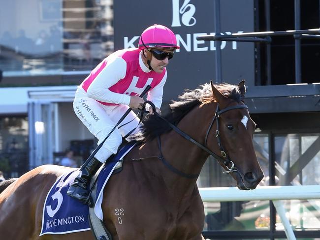 Skirt The Law on the way to the barriers prior to the running of the Cap D'Antibes Stakes at Flemington Racecourse on September 16, 2023 in Flemington, Australia. (Photo by Brett Holburt/Racing Photos via Getty Images)