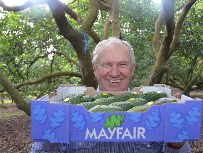 CASH CROP: Barry Trousdell is happy he swtiched from growing cattle to growing avocados.Photo Barclay White / South Burnett Times