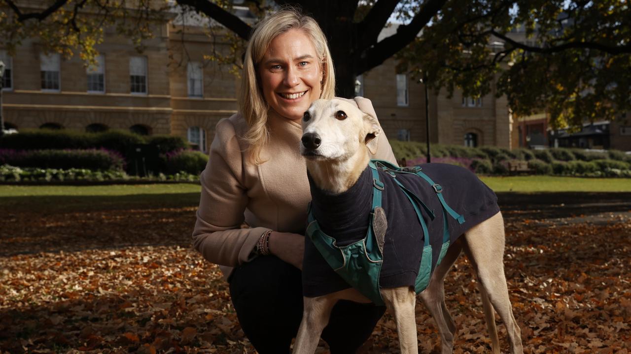 Calls mount for state govt to end greyhound racing support