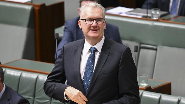 Home Affairs and Immigration Minister Tony Burke. Picture: Martin Ollman/NewsWire