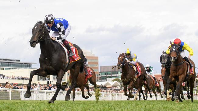 Gold Trip is set to tackle the Melbourne Cup. Picture: Vince Caligiuri - Getty Images