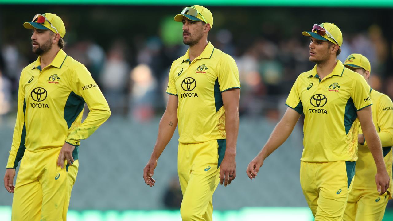 ‘You want to see the best’: Shane Lee on why fans would feel short-changed by Aussie selection calls