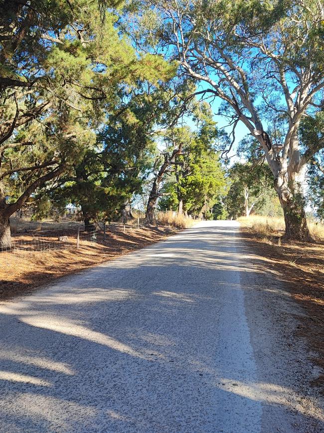 A man has died after he hit a stray sheep while riding his pushbike on a road at Forreston in the Adelaide Hills earlier this week. Picture: Dasha Havrilenko