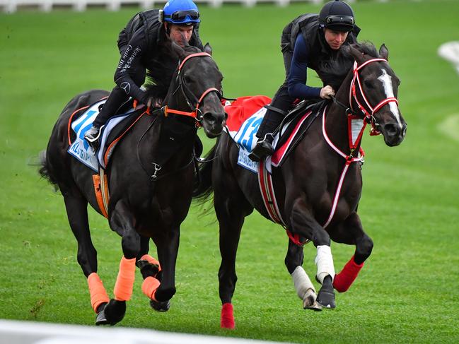 Damian Lane pilots Lys Gracieux (right) and jockey Tommy Berry rides Kluger during a trackwork session at Moonee Valley on Tuesday.