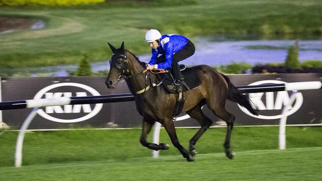 Champion racehorse Winx held her last gallop at trackwork ahead of her final race. Picture: Dylan Robinson