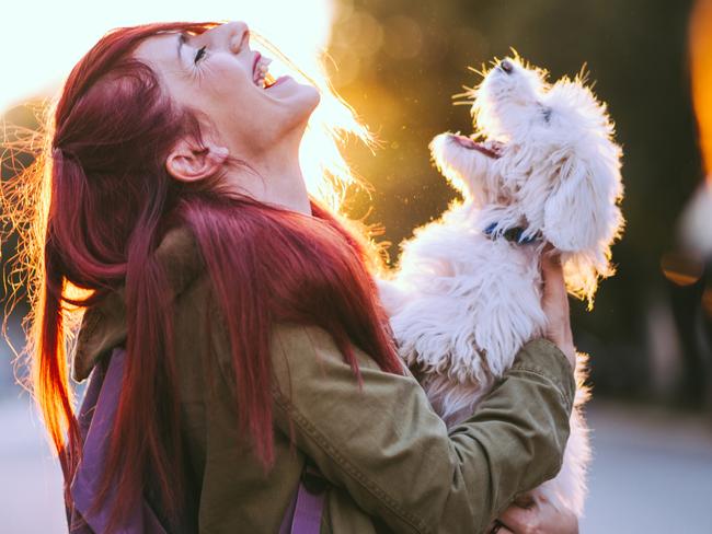 SMART Pets. Redheaded woman and white puppy smiling together. Picture: iStock