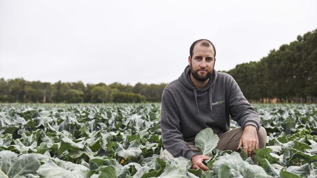 Kane Busch and family grow six organic vegetable crops at Busch Organics, Hillside. Picture: Dannika Bonser