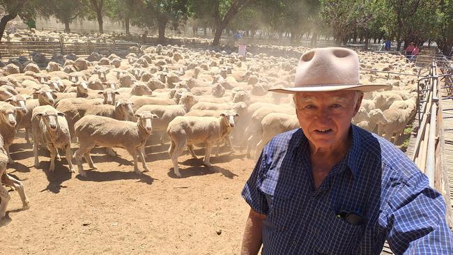 Local breeder Graeme Allitt dispersed his Singorimbah Merino flock, which had been based on Goolgumbla blood for the past 20 years. He described prices as being “$15 to $20 per head under what we thought’’, putting the result in favour of buyers at the Deniliquin sheep sale. Picture: Jenny Kelly