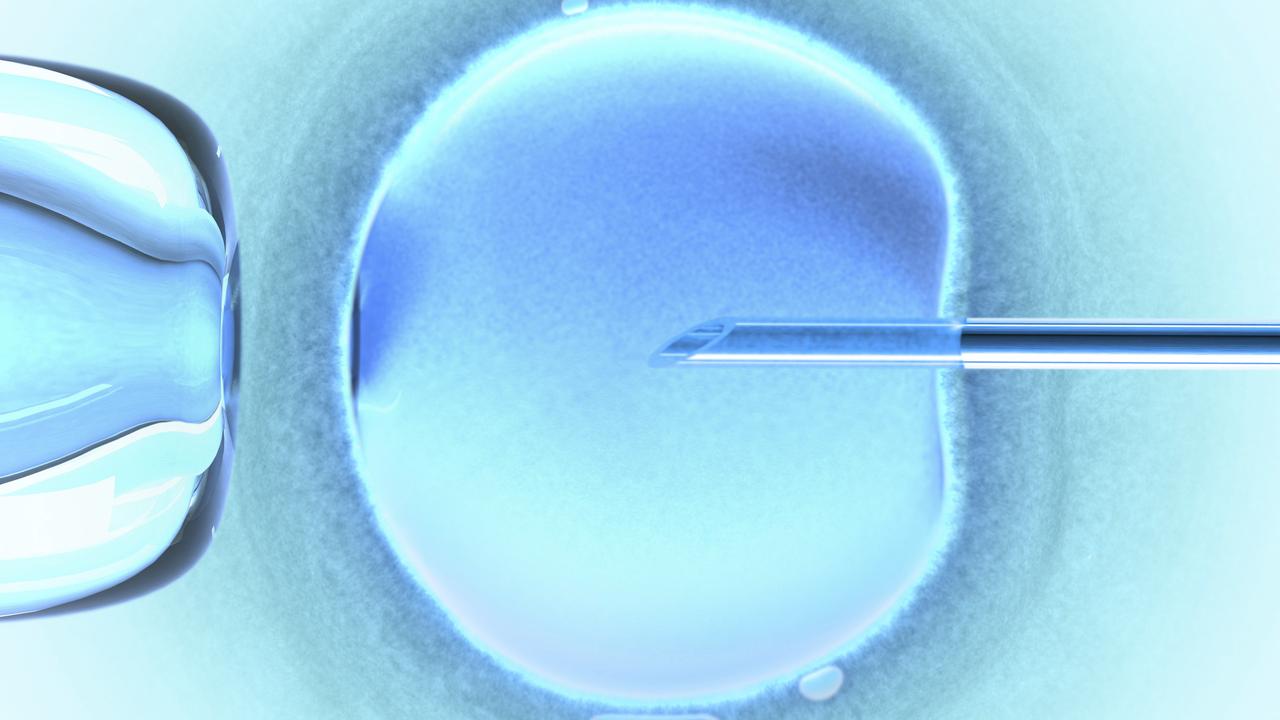 Fertility Treatment Researchers Find Strongest Sperm Using Sound Waves Herald Sun