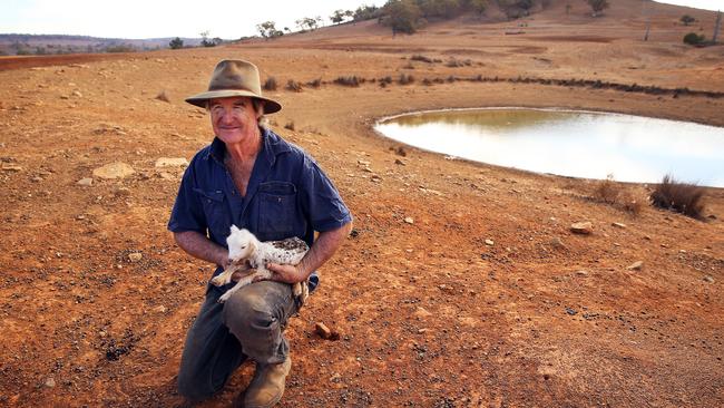 Mr Jones with a newborn lamb whose mother perished in the drought conditions. Picture: Sam Ruttyn