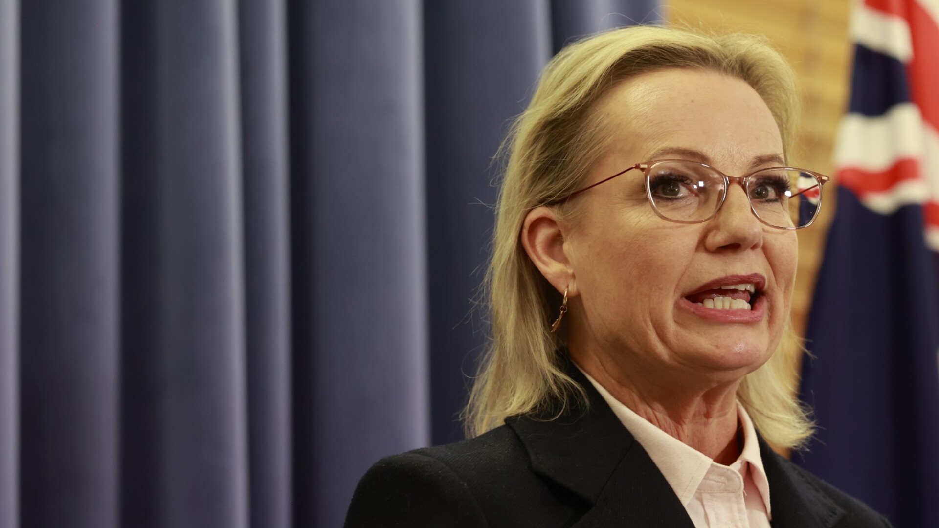 Sussan Ley vows no ‘climate wars’ under her Liberal leadership