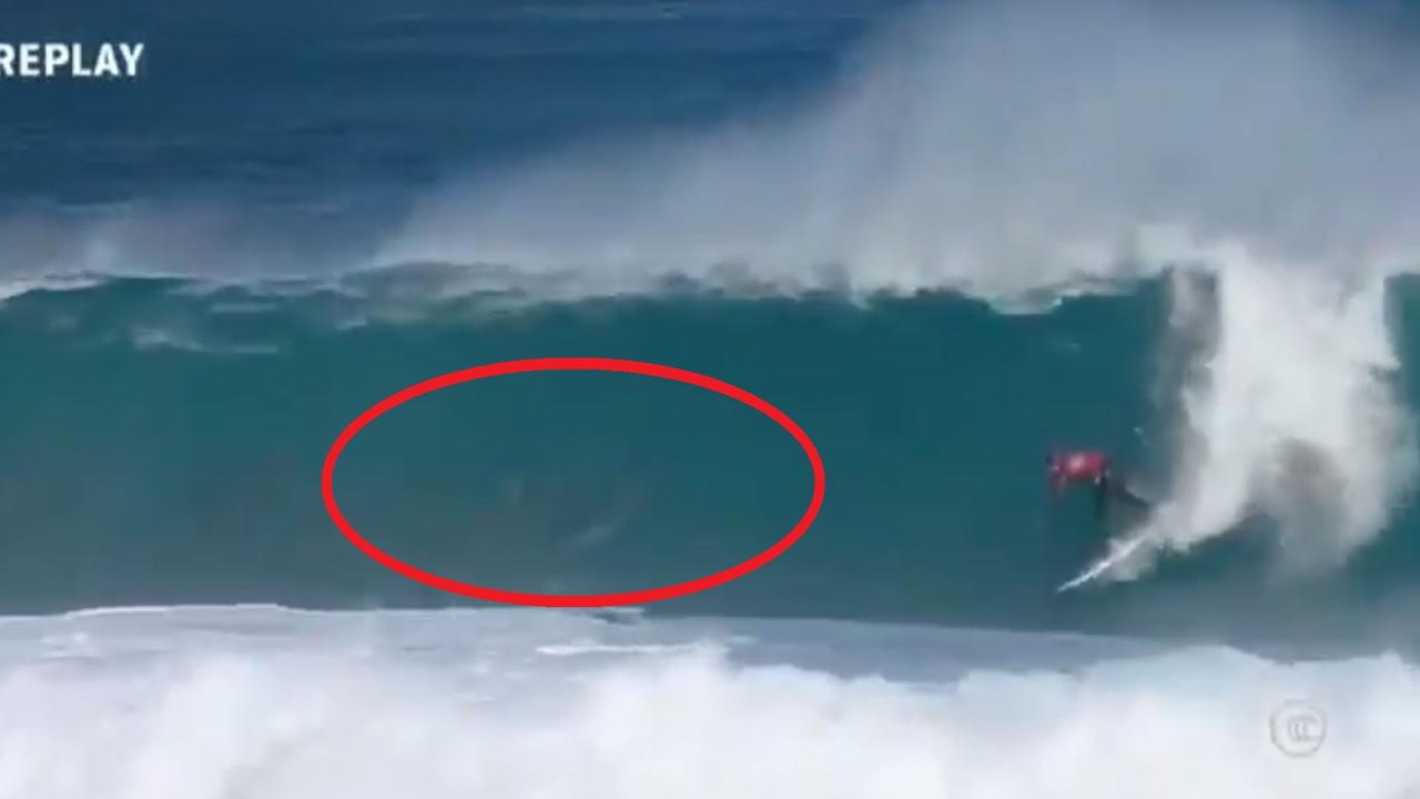 Dolphins steal the show at Margaret River Pro.