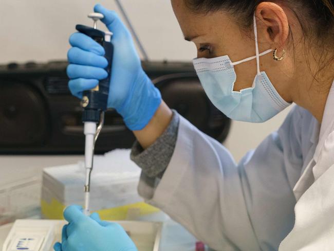 A researcher at the Institute of Molecular Biology and Genetics (IBGM) of the University of Valladolid (UVa) works on searching a vaccine against COVID-19, at a laboratory in Valladolid on November 10, 2020. (Photo by Cesar Manso / AFP)