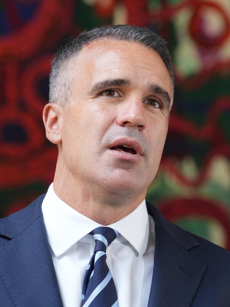 Premier Peter Malinauskas labelled the boys’ behaviour ‘alarming’. Picture: Dean Martin