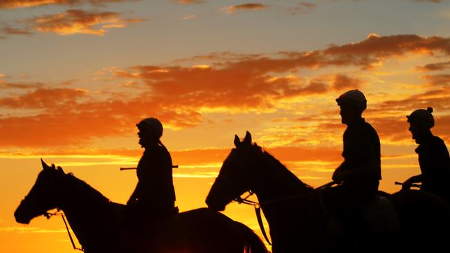 The NSW and Canberra jockeys’ fraternity is mourning the loss of trackwork rider Riharna Thomson after she passed away this morning.