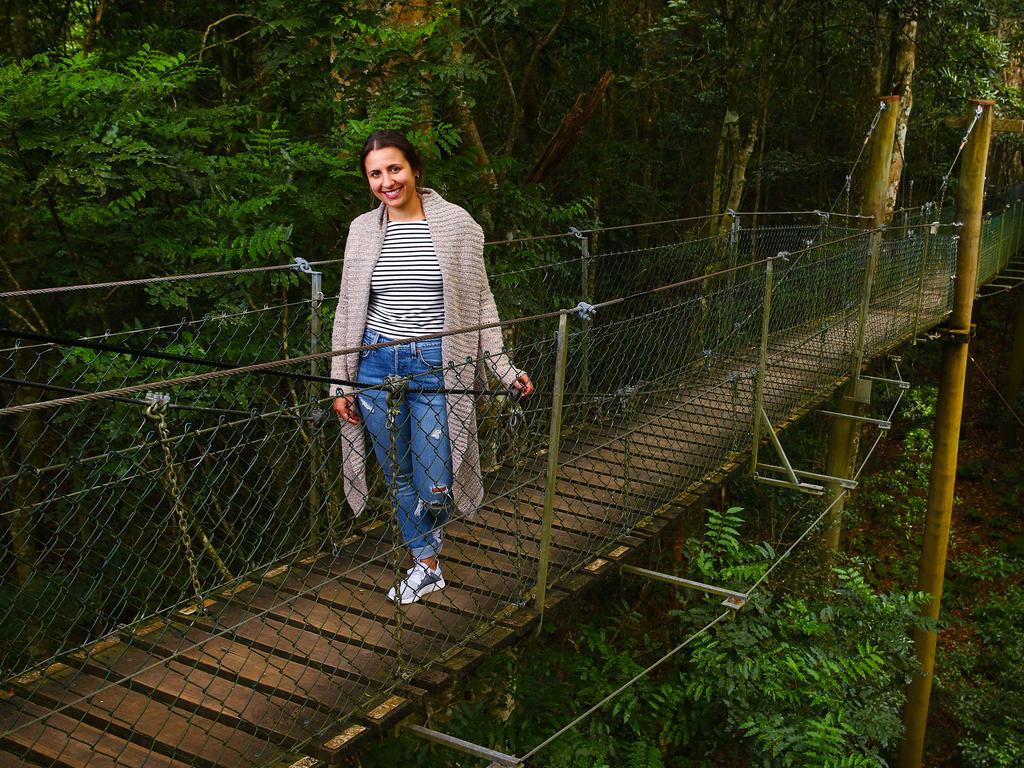 O'Reilly's Rainforest Retreat managing director Shane O'Reilly in Lamington National Park. Picture: Adam Head