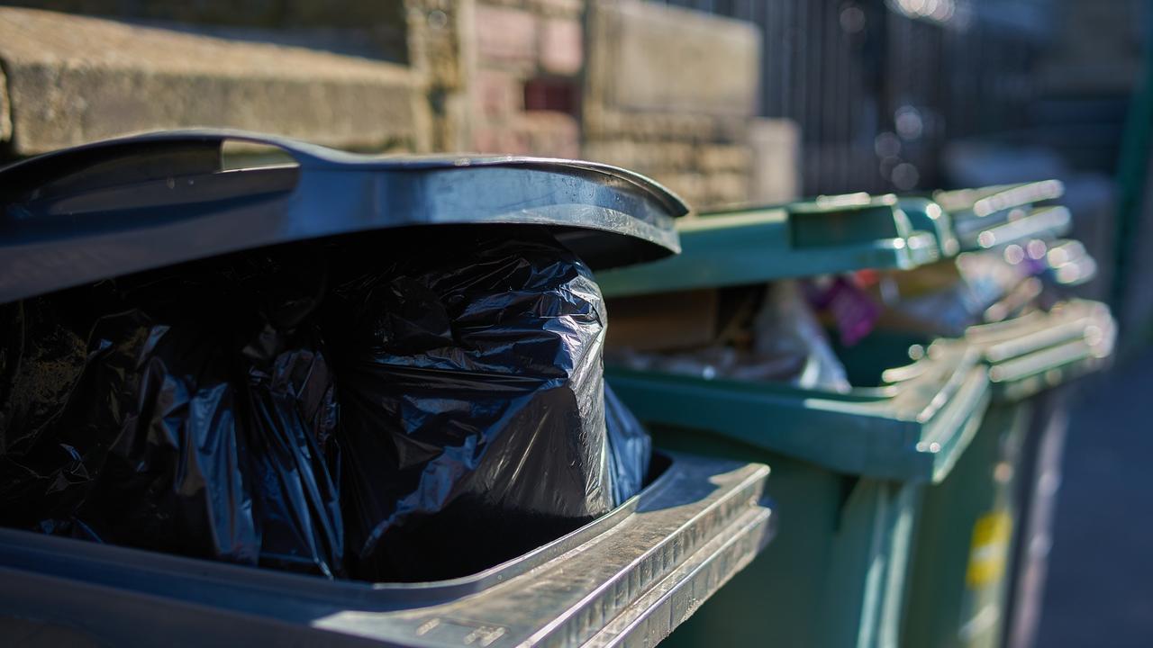 Let's Talk  Yard-Waste Bags 