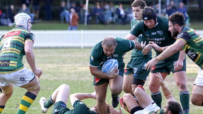 Randwick player Adam Freier crashes through Gordon defenders in their Shute Shield match at Chatswood Oval. Picture: Ric McLallen