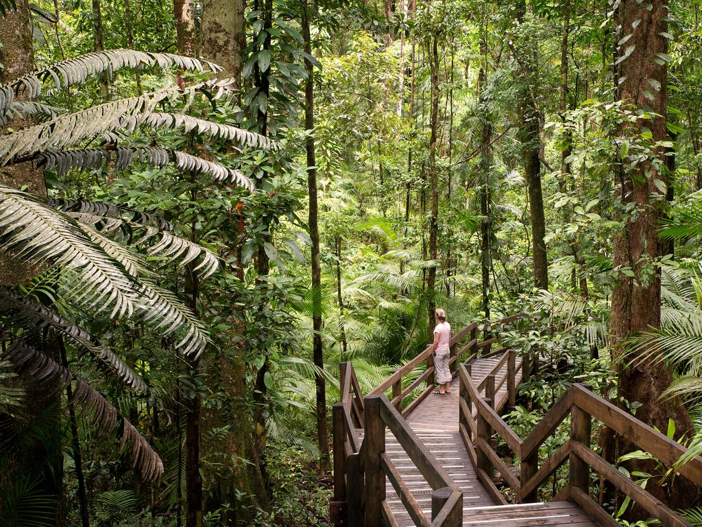 20 Top Things To Do In Tropical North Queensland | Escape.com.au