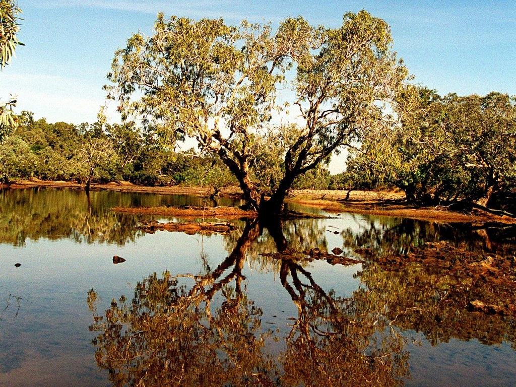 Kevin Darmody believed to be killed by crocodile in Far North Qld ...