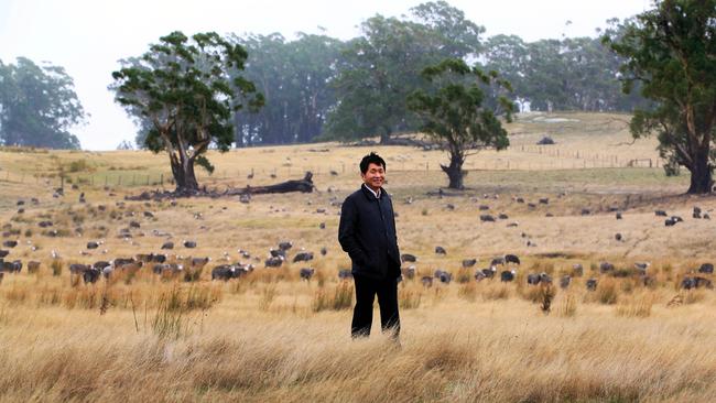 Qingnan Wen on Lal Lal Estate. Picture: Aaron Francis