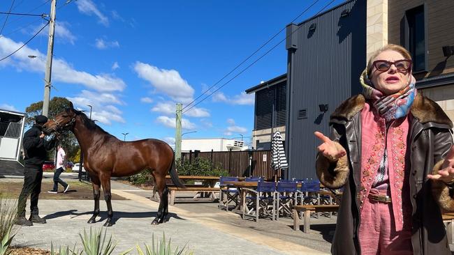 Gai Waterhouse with Storm Boy in the backdrop at the Log Cabin