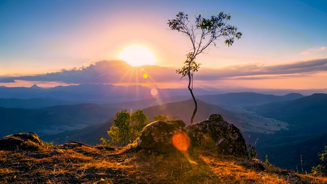 Luke's Bluff lookout on the O'Reilly's Plateau, Lamington National Park.