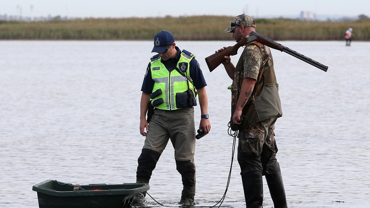 Science backs 75day Victorian duck season GMA sticks to 20 days The