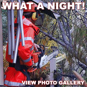 The damage in the wake of our wild weather. If you have pictures from last night's storm, you can email them to news@thedaily.com.au