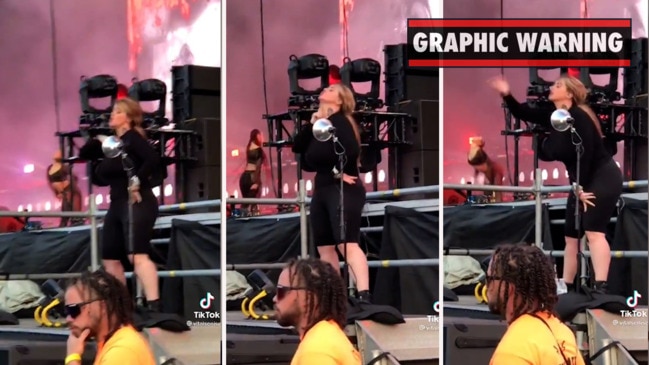 ASL interpreter steals show at Lollapalooza