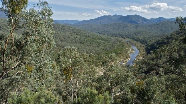 Snowy River National Park. Picture: Steven Wright.