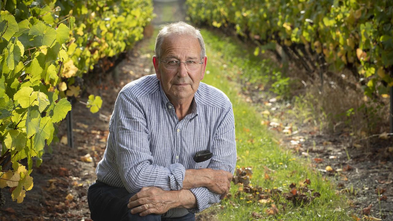 Home Hill Winery owner Terry Bennett in his vineyard at Ranelagh. Picture: Chris Kidd