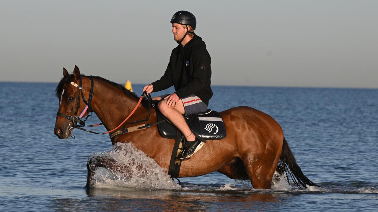 Caulfield Cup Trackwork Session