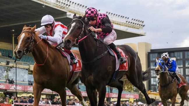 Rothfire beat home Giga Kick at The Valley early in the spring. Picture: Vince Caligiuri/Getty Images