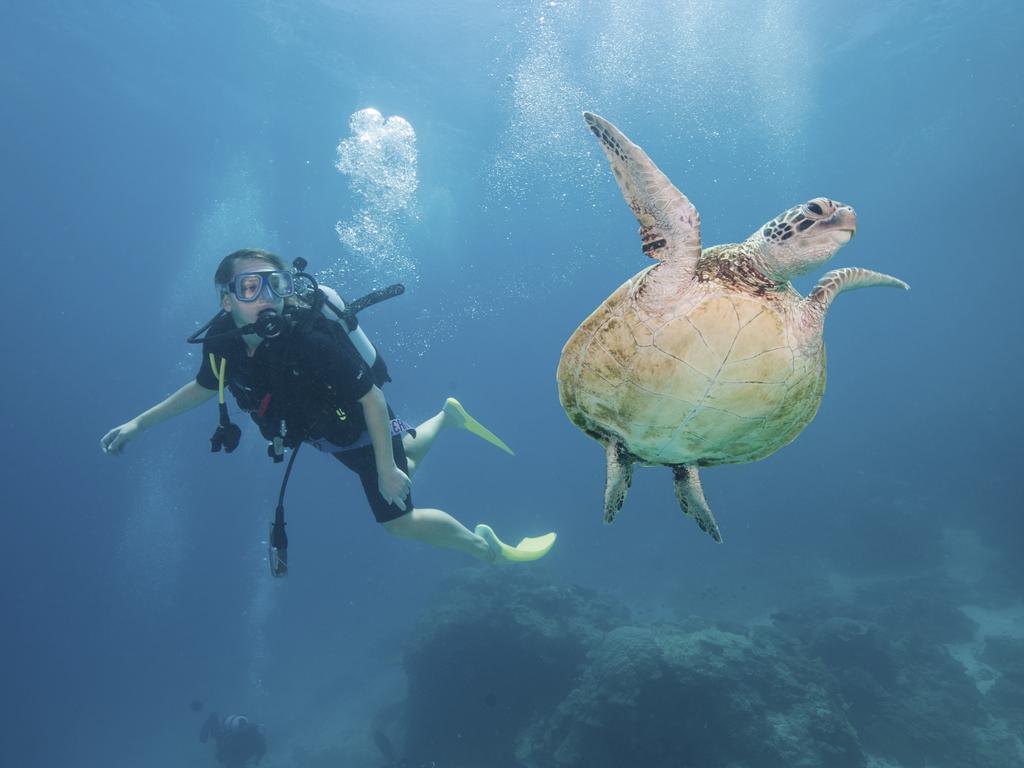 6 best Southern Great Barrier Reef islands | escape.com.au