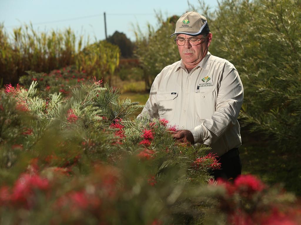 Dale Holliss has shared concerns held by farmers over future rate rises. PIC: Vanessa Hunter for The Australian