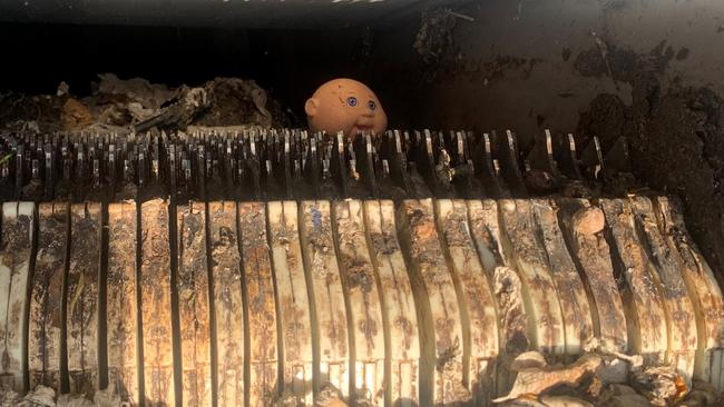 A cabbage patch doll head was found at the Bondi Wastewater Treatment Plant. Photo: Sydney Water