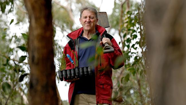 Neale Dyster in biodiverse native bushland on his property Echidna Ridge at McHarg Creek near Meadows. He hosts bushland experience tours. Picture: Naomi Jellicoe