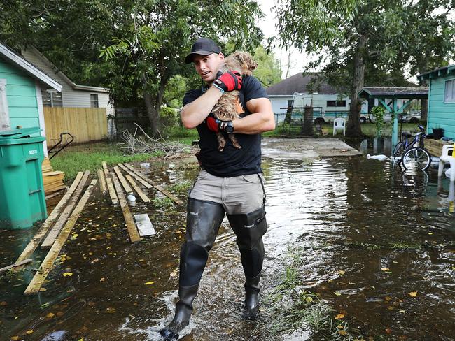 Matt Murray, a volunteer with an animal rescue organization, carries a small dog he found abandoned beside a flooded home on September 5, 2017 in Orange, Texas.Thousands of pets and livestock have either run away or been left to fend for themselves after Hurricane Harvey ravaged parts of the state of Texas. Picture: AFP