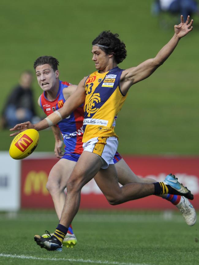 WAFL. West Perth v Claremont at HBF Stadium in Joondalup. pictured — Tiger Shane McAdam