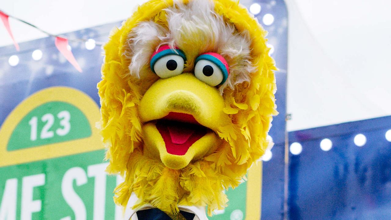 Sesame Street’s Big Bird gets Covid-19 vaccine | news.com.au ...