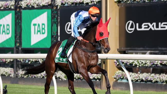 Duais on the Flemington track. Photo by George Sal/Racing Photos via Getty Images.